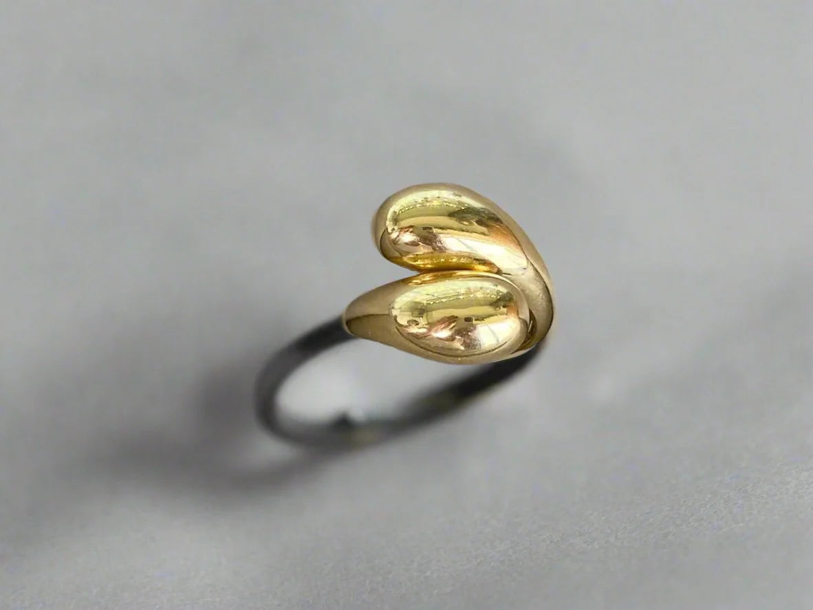 Fixe Big Ring