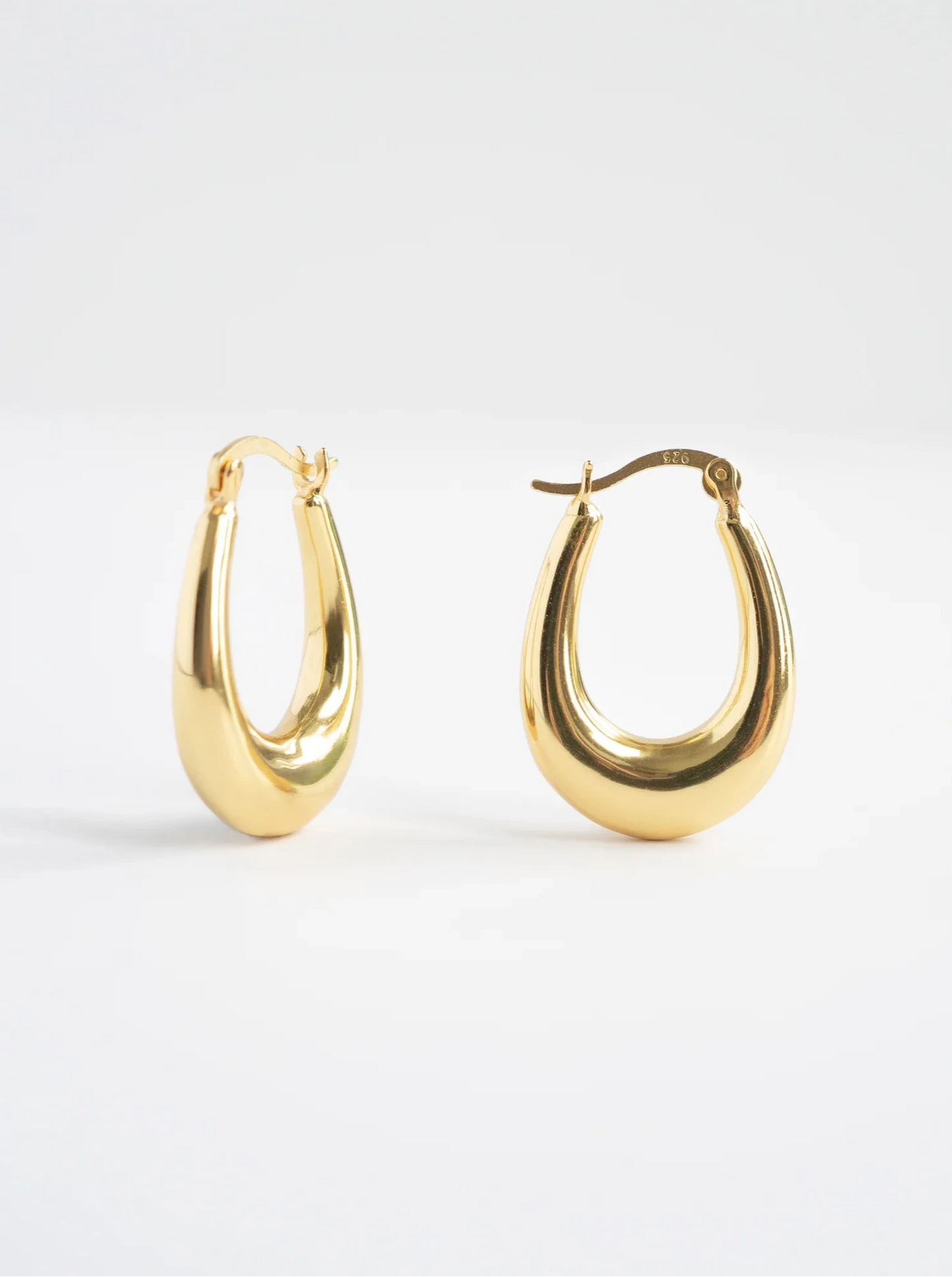 Daria Oval Hoop Earrings